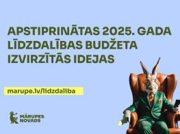 Līdzdalības budžeta vizuālis