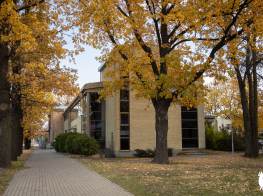 Daugavas 29 ēka rudenī