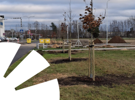 Dabas skats ar iestādītu koku un baltu grafiku virsū