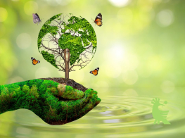 Pieci soļi zaļākai rītdienai