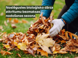 Rudens lapu foto ar tekstu uz zaļa fona