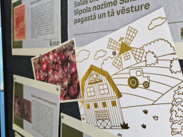 Izstādes stendi ar fotogrāfijām