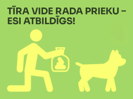 Koši zaļš fons ar dzeltenu grafiku un zaļu tekstu