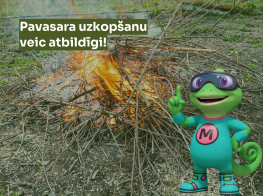 Zaru kaudze brīvā dabā un virsū teksta un elementu grafika