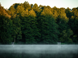 vides ainava ar kokiem un ezeru