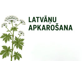 gaišs fons ar zaļiem elementiem un tekstu