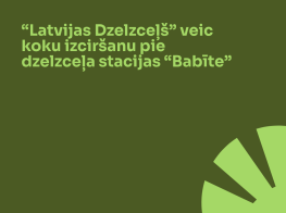 “Latvijas Dzelzceļš” veic koku izciršanu pie dzelzceļa stacijas “Babīte”