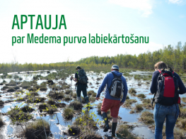 Aptauja Medema purvs