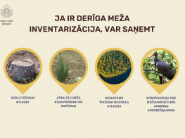 Meža inventarizācija Valsts meža dienests